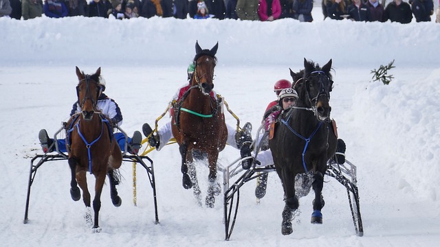 本菲卡笑到 本菲卡笑到