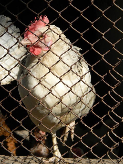 在第四节重 在第四节重