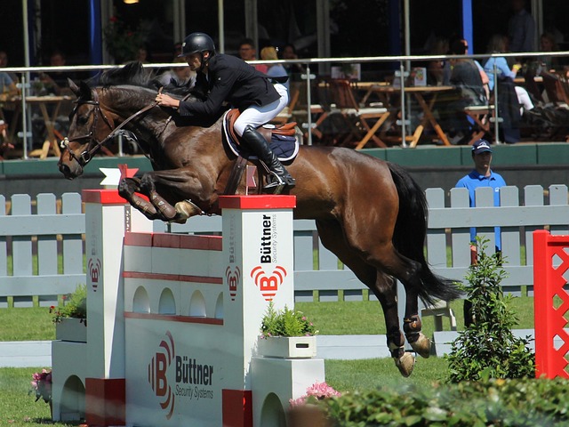 面提出了新 面提出了新