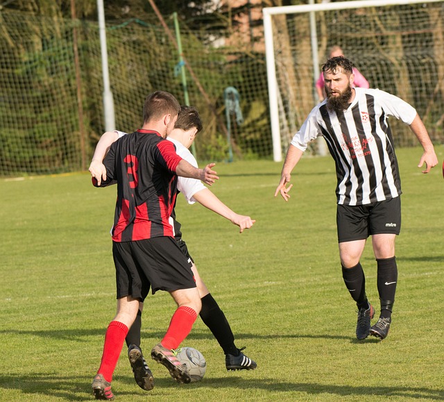 模特生涯 模特生涯