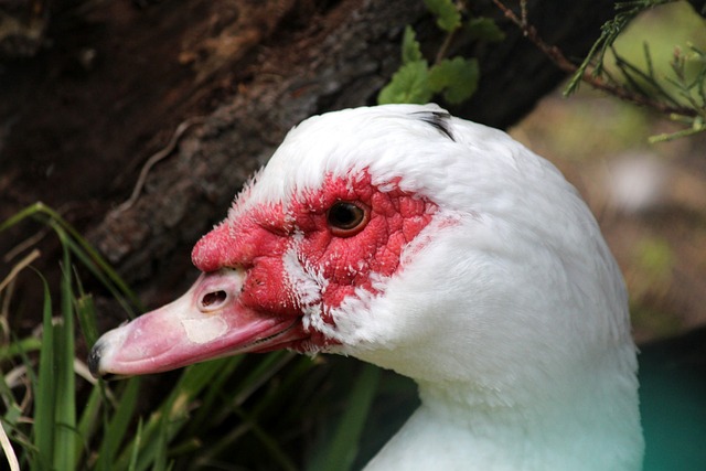 为年轻一代 为年轻一代